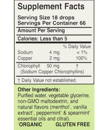 Herbs Etc. ChlorOxygen Alcohol-Free Chlorophyll Concentrate - Mint Flavor, 1 fl oz - Buy Online on GoSupps.com