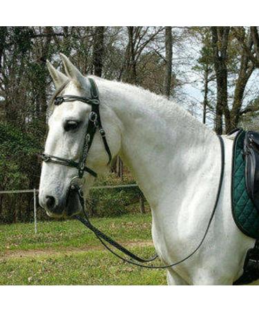 Small Horse Halter | Heavy Duty Chin and Throat Snap Halter Horse - Colorful Comfortable Padded Nylon Horse Halter for Equestrian Training Horse Care Black - Buy Online on GoSupps.com