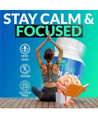 Vital Rise Adult Calm Magnesium Chewables Magnesium Ashwagandha & L-Theanine Supplement for Stress Mood & Relaxation High Absorption Non-GMO Grape Flavor (60 Chewables) - Buy Online on GoSupps.com