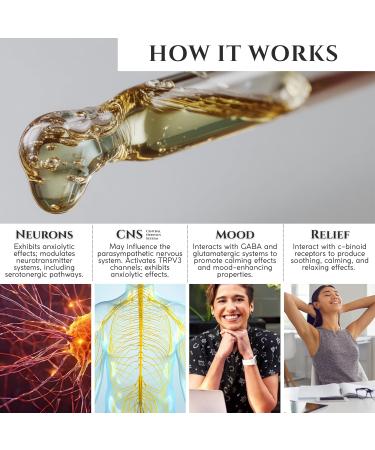 TODICAMP Anxiolytic Navel Patch & Skin Application Calming Essential Oil Blend for Relief & Relaxation - Bergamot Orange Ylang Ylang Frankincense Lemongrass in Castor Oil - 0.34oz - Buy Online on GoSupps.com