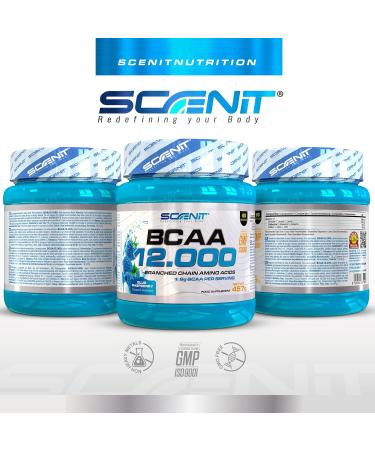 BCAA Powder - BCAA 12-457g - BCAA - BCAA 2.1.1 - BCAA Powder - Amino Acid - Amino Acid - Amino Acids - Leucine Valine Isoleucine - Amino Acids (Blue raspberry) - Buy Online on GoSupps.com