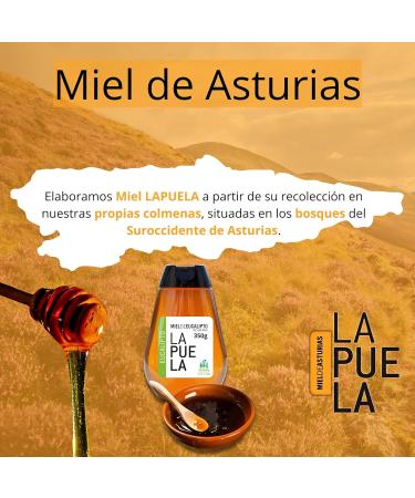 LAPUELA Eucalyptus honey. Distributor of natural honey from Asturias - Aroma of damp wood very intense and persistent (350gr - Dosing Cap) - Buy Online on GoSupps.com