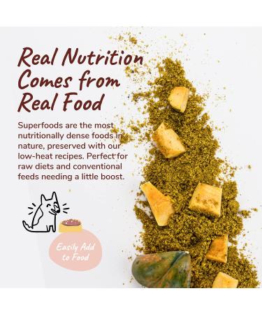 Kin+Kind Pumpkin Fiber Stomach & Bowel Support - 4 oz | Natural Digestive Health - Buy Online on GoSupps.com