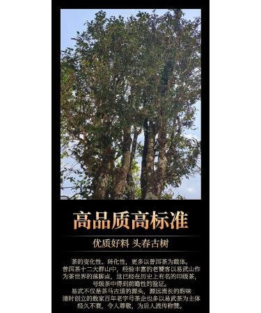 Puerh Tea 2019 Yiwu Zhengshan 357g Raw - Premium Quality Chinese Tea - Buy Online on GoSupps.com