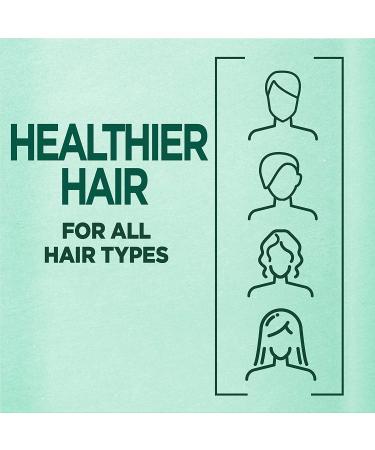 Garnier Fructis Pure Clean Fortifying Shampoo with Aloe - 12.5 fl oz (370 ml) | Strengthen & Nourish Hair - Buy Online on GoSupps.com