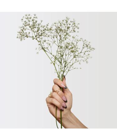 Addison Rae Fragrance Chill - Perfume for Women - Floral Woody Scent - Cologne for women - Long Lasting Fragrance with Notes of Pear Blossom Apple Sandalwood - Vegan Cruelty Free - 3.4 oz EDP Spray Chill AF - Floral Woody 3.4 Ounce - Buy Online on GoSupps.com