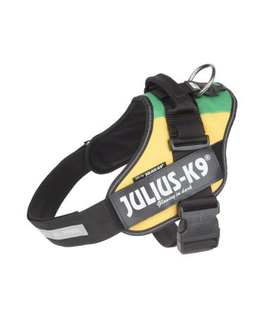 IDC Powerharness Size: L/1 Lithuanian Colors Lithuanian Colors L/1