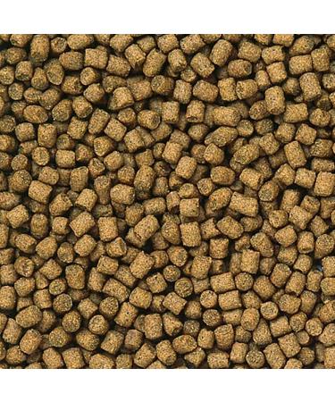 Hikari Lionhead Mini (Size: 350g) - Buy Online on GoSupps.com