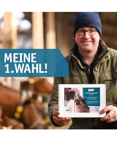 Vetmarkt24 Bolus PHOSPHOR in pack of 8 to support the phosphoric footprint of dairy cows - Buy Online on GoSupps.com