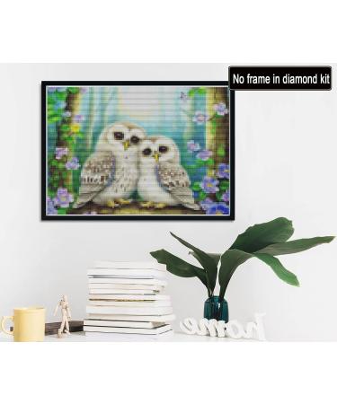 Reofrey Owl Diamond Painting Kit for Adults - Full Drill Round Rhinestone Cross Stitch Embroidery Canvas - DIY Diamond Art Animal Craft Decor (30x40 cm) - Buy Online on GoSupps.com