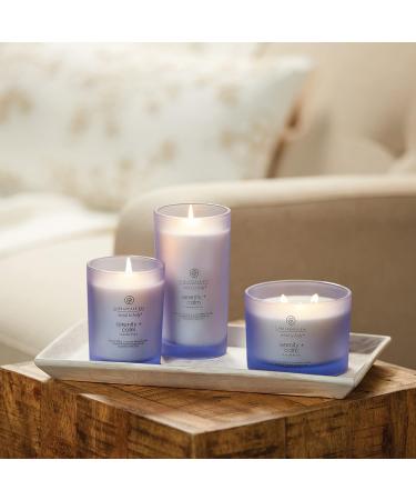 Chesapeake Bay Serenity + Calm Scented Candle | Large Tumbler Aromatherapy | Up to 82 Hours Burn Time | Mind & Body Collection - Buy Online on GoSupps.com