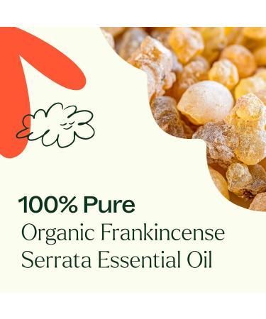 Buy Organic Frankincense Serrata Essential Oil - 100% Pure USDA Certified Undiluted Aromatherapy - 100 mL - International Shipping Available - Buy Online on GoSupps.com