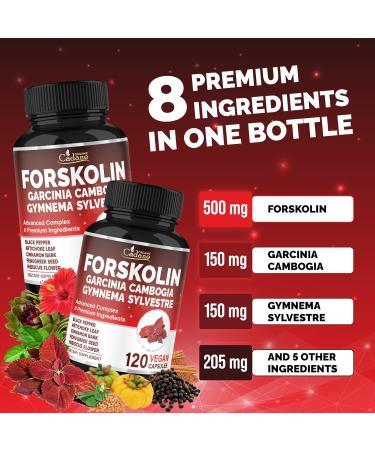 Cadane Forskolin Supplement with Garcinia Cambogia Gymnema Sylvestre Cinnamon Bark and More - Vegan Non-GMO 120 Capsules 60-Day Supply - Buy Online on GoSupps.com