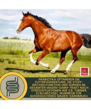 Brewer's Yeast Horse - Gastro Liquid - probiotics for horses - for a beautiful coat and skin - supports intestinal flora - Buy Online on GoSupps.com