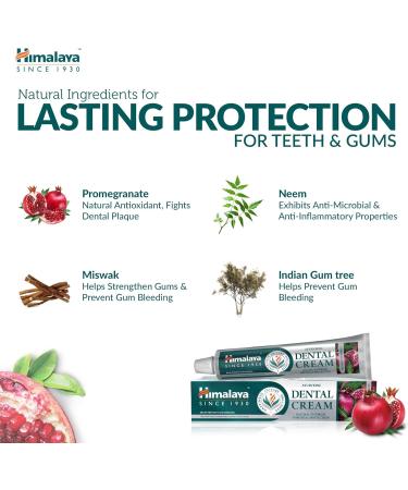 Himalaya Ayurvedic Dental Cream - Neem & Pomegranate Toothpaste | Gum Protection Cavity Prevention & Natural Fluoride | 100g (3 Pack) - Buy Online on GoSupps.com