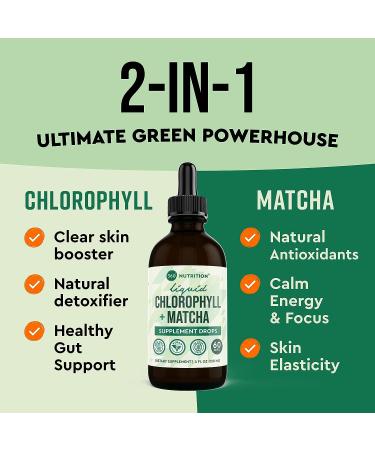 360 Nutrition Matcha Chlorophyll Drops with L-Theanine - Gut Health Support & Energy Boost - Vegan, Gluten-Free - 60 Servings - Buy Online on GoSupps.com
