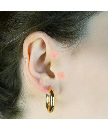 Healifty 4 Sheets 240pcs Ear Press Seeds Acupuncture Vaccaria Plaster Bean Acupoint Massage Paste Ear Stickers for Ear Therap Pain Relief Care(Black) - Buy Online on GoSupps.com