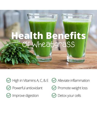 Handy Pantry Organic Wheatgrass Seeds - Premium Hard Red Wheat for Wheatgrass, Cat Grass, Food Storage & More (1/2 lb) - Buy Online on GoSupps.com
