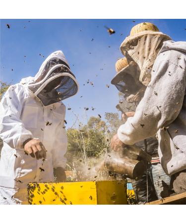 Pink Berry Honey | From Madagascar | 250g | ORGANIC - Buy Online on GoSupps.com