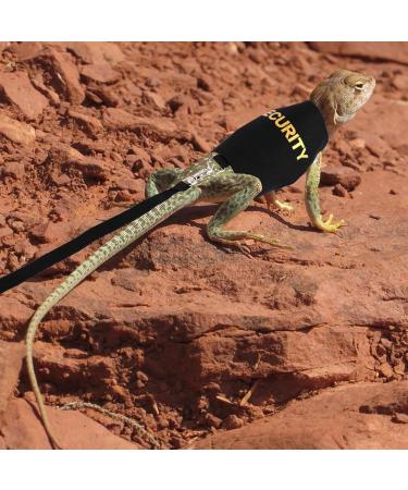 Shop Bartagame Leash & Dishes for Reptiles - Adjustable Linen Leash & Accessories for Amphibians Chameleons & Small Pets - Perfect for Outdoor Security & Walks - Buy Online on GoSupps.com