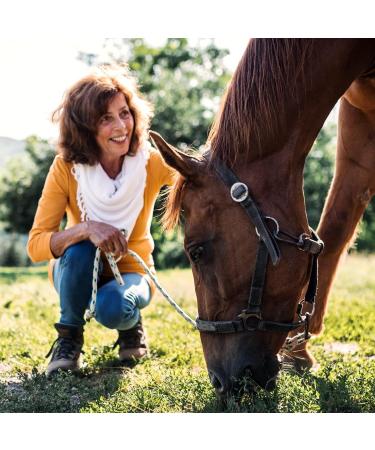 Buy 5kg Dried Rose Hips | Natural Additive-Free | Perfect for Jam Tea & Pet Treats | Achterhof Quality - Buy Online on GoSupps.com