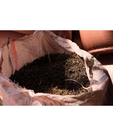 Authentic Ethiopian Koseret Herb - Handpicked & Processed, Non-GMO, Organic, 1 oz - Perfect for Niter Kibbeh & Dry Rubs - Buy Online on GoSupps.com