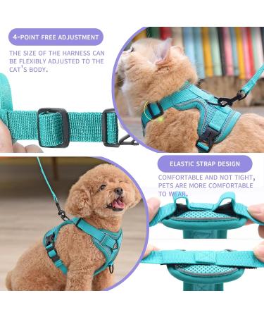 Buy Tikxlafe Cat Dishes with 150 cm Leash Adjustable Polyester Cat Linen Set for Kittens (Blauer See Size S) | International Shipping - Buy Online on GoSupps.com