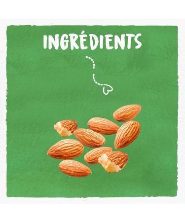 BJORG - Almond Milk Without Added Sugar - Organic Vegetable Milk - Low in Saturated Fats - Brick 1 Liter - Buy Online on GoSupps.com