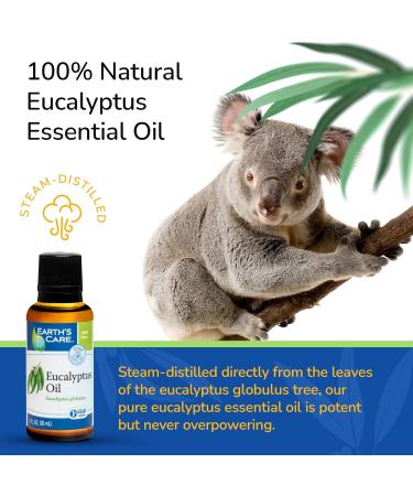 Earth's Care Eucalyptus Oil - 100% Natural Eucalyptus Essential Oil - for Aromatherapy - Steam Distilled - 1 Fl OZ (4 Bottles) Eucalyptus 1 Fl Oz (Pack of 4) - Buy Online on GoSupps.com