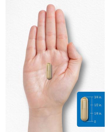 Carlyle Fiber Complex 400 Capsules | Non-GMO Triple Action Fiber Supplement - Buy Online on GoSupps.com