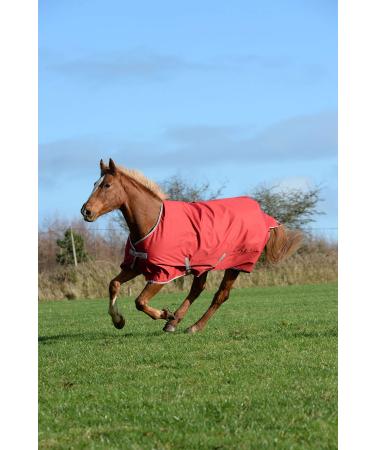 Bucas Freedom Turnout 300 g - Caf