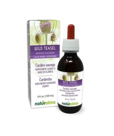 Naturalma Wild Teasel or Fuller's Teasel (Dipsacus fullonum or D. sylvestris) Root Alcohol-Free Tincture - 4 fl oz Liquid Extract in Drops - Herbal Supplement - Vegan Alcohol-free 4 Fl Oz (Pack of 1)