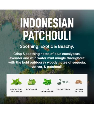 Buy Laundry Sauce Fabric Refresher Spray - Odor-Fighting Fragrance in Indonesian Patchouli | 9.8 fl oz - Shop Internationally - Buy Online on GoSupps.com