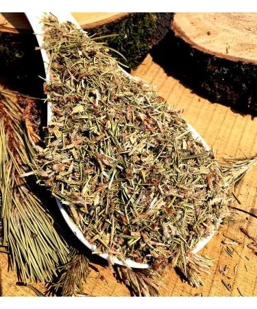 Naturix24 Pine Bud Herbal Tea 100g