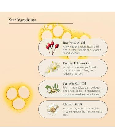 Facial Oil Gift Set- Skin Care Kit for Women- Smoothing Quieting Moisturizer & Hydrator- Daily & Overnight Use- Beauty Travel Size Skincare Set- Ideal Gift for Women & Teens- Mini Bar by Biography - Buy Online on GoSupps.com