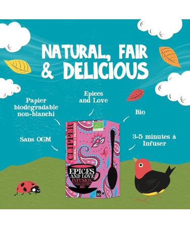 CLIPPER - Organic Infusion - Spices and Love - Cinnamon Ginger & Orange - 20 Organic Infusion Sachets - 1 pack - Buy Online on GoSupps.com