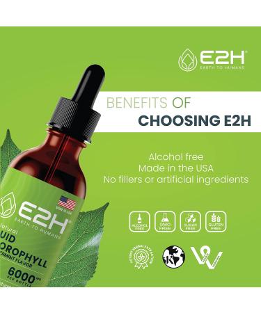 E2H Peppermint Liquid Chlorophyll - 2 Fl Oz | All Natural Formula - Buy Online on GoSupps.com