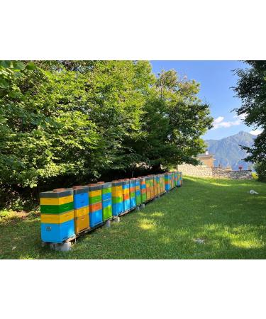 IO APE - Organic Summer Millefiori Honey 500 g - Italian honey from the Como region - Buy Online on GoSupps.com