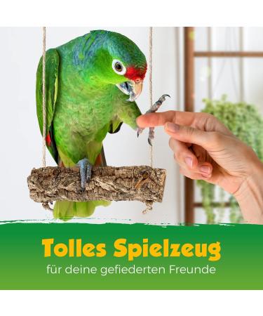 Buy Corkast Swing for Birds & Rodents | Natural Cork Play & Nibble Toy | Disinfected | 2.5-5 cm | 20 cm Width | Durable Stainless Steel Hook - Buy Online on GoSupps.com