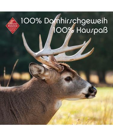 Chronobalance S Chewing Confection for Dogs - Natural 100% Antler Dental Care Toy Nutrient-Rich Treats for Women s Deer Dogs - 1 Piece - Buy Online on GoSupps.com