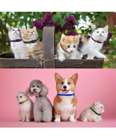 Gentledog Frosted Cat Collar with Bell - Adjustable 7.5 to 12.5 Inch for Cat, Puppy, and Small Dog Accessories - Buy Online on GoSupps.com