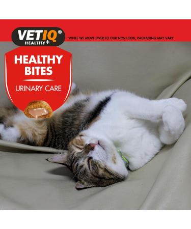 VetIQ Healthy Bites Urinary Care Cat Treats 8x 65g - Cranberry Supplement for Urinary Health - Cheese & Catnip Flavored Kitten Treats - Prebiotic Fibre for Cat Health - Buy Online on GoSupps.com