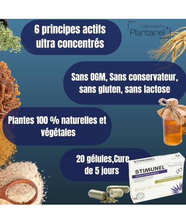 Stimunel Ginseng + Maca Ultra-Concentrated (3300mg) Power Strength Energy Endurance Tribulus L-Arginine - Cure of 20 Capsules - Certified French - Buy Online on GoSupps.com