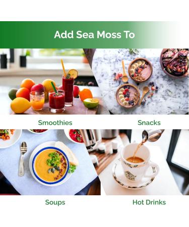 100% Wildcrafted Sea Moss Gel - Pure Unflavoured Sea Moss Gel | Made with Wildcrafted Sea Moss | Irish Moss (16oz Jar) 1 count (Pack of 1) - Buy Online on GoSupps.com