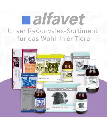Alfavet Reconvales Antiphos - Kidney Support for Cats & Dogs | Nutritional Supplements with Phosphate Binders - 3 x 90ml Bottles - Buy Online on GoSupps.com