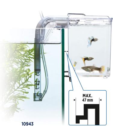 Fluval Large Multi-Chamber Holding and Breeding Box - Ideal for Fish Breeding and Aquarium Maintenance - Buy Online on GoSupps.com