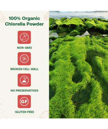 Quay Naturals Organic Chlorella Powder 4oz Freeze-Dried Non-GMO Gluten-Free Broken Cell Wall Rich in Chlorophyll & Plant-Based Nutrients Smoothie Booster 100% Pure & USDA Organic. - Buy Online on GoSupps.com