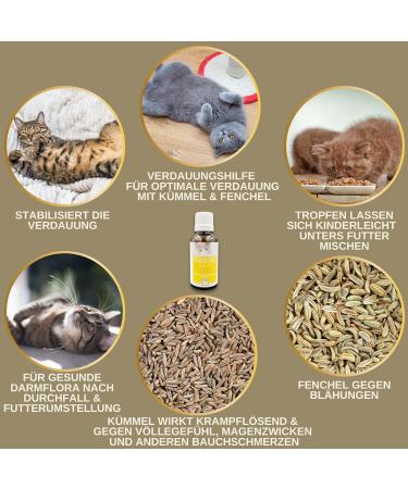 Intestinal Cure Cat Active Herbs Drops I First Aid Digestion - Gastrointestinal Intestinal Flora I Restorative Food - Diarrhea Flatulence I Intestinal Sanitation 30ml - Buy Online on GoSupps.com