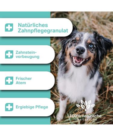 MEDIDOG Dental YUM 300g Dental Care Granules for Dogs | Bad Breath & Tartar Control | Fresh Breath & Chewing Fun - Buy Online on GoSupps.com