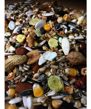 cura-canin 10 kg premium squirrel super food squirrel food of the highest class scatter feed feeder - Buy Online on GoSupps.com